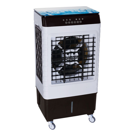 KEFC012W -  Rafraîchisseur d'air Decakila /30L