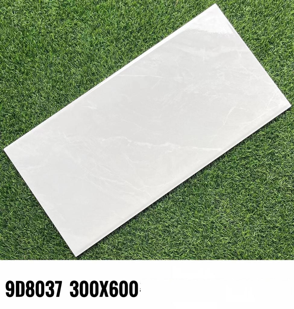 CARREAU 30X60 9D8037